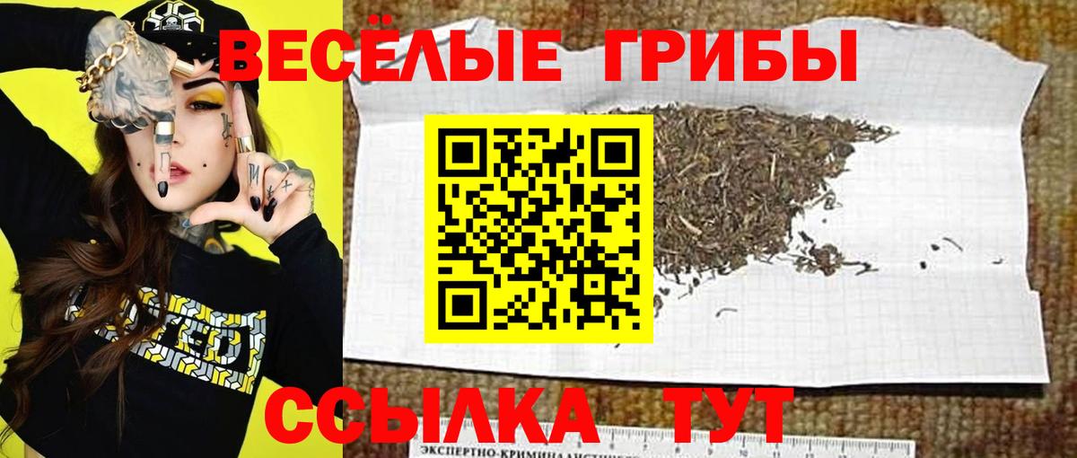 Псилоцибиновые грибы MAGIC MUSHROOMS Новоалтайск