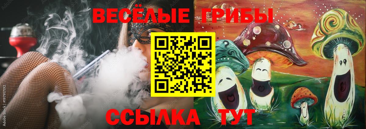 Новоалтайск  Галлюциногенные грибы GOLDEN TEACHER  Вход с VPN 